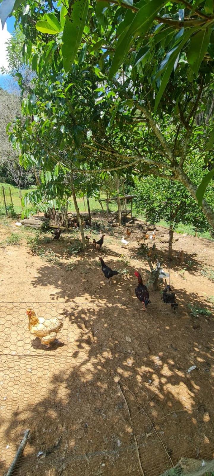 Sitio Saramandaia Villa Juquitiba Luaran gambar