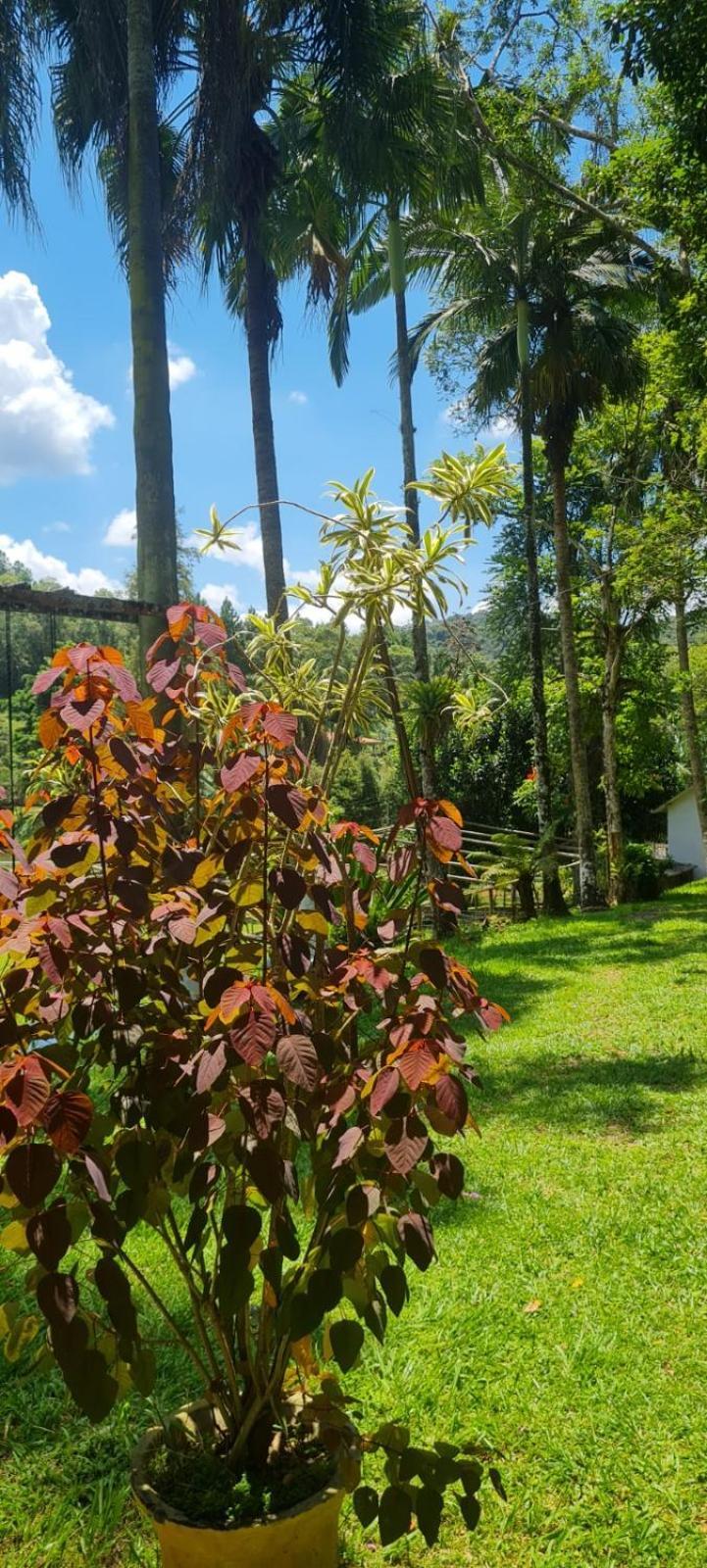 Sitio Saramandaia Villa Juquitiba Luaran gambar